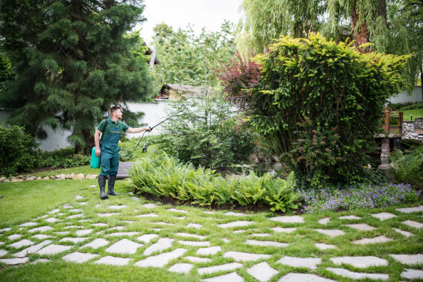 Best Best Pest Control Near Me  in Monteagle, TN