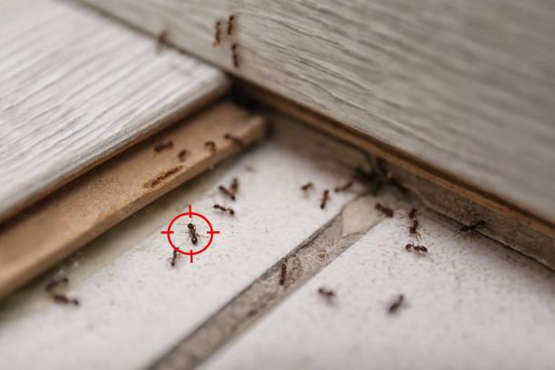 Pest Control Cost in Monteagle, TN