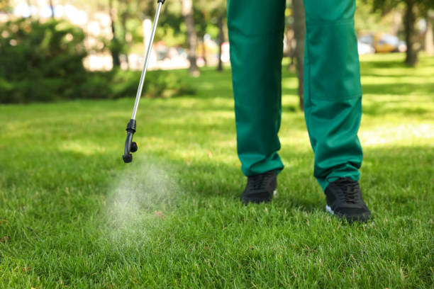 Best Pest Removal Services  in Monteagle, TN