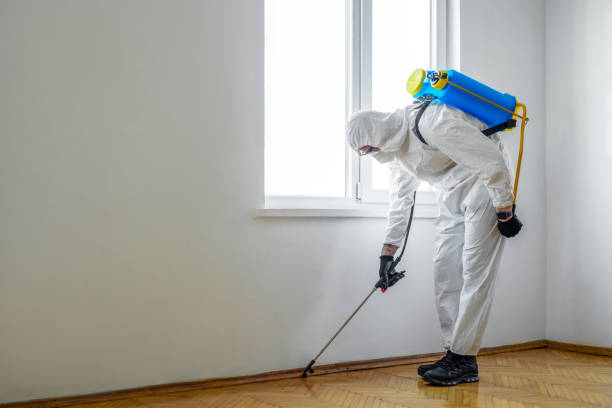 Best Pest Prevention Services  in Monteagle, TN
